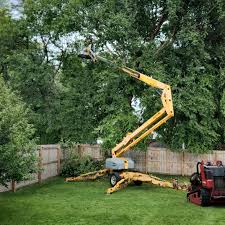 Best Commercial Tree Services  in Loxahatchee Groves, FL